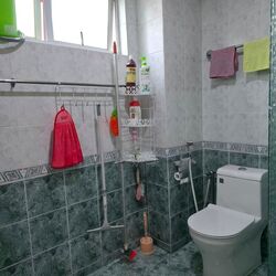 The Springside (D26), Terrace #509508491